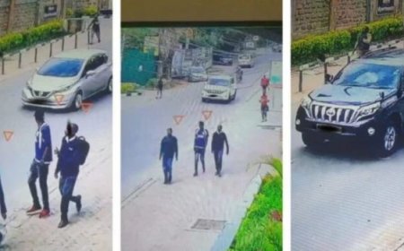3 Consequences Kenya Faces After Deporting 4 Turkish Nationals- Govt Told