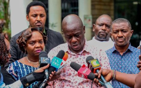 Truth About 13 Countries Backing Gachagua Impeachment & Imposing Travel Ban On Him