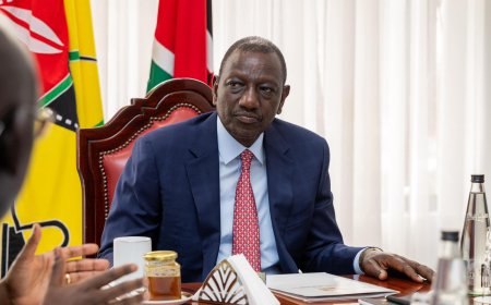 9 Countries Hit Out At Increased Abductions, Arrests In Kenya