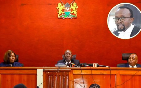 Lawyer Ndegwa Njiru Turns Gachagua's Shareholding Remarks Against High Court Judge