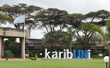 UN Body Calls Out Kenya Over Repatriation Of Turkish Refugees
