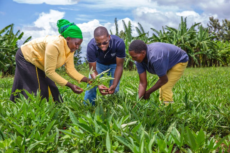 OORO: Why Regenerative Farming Should Take Center Stage in Sustainable Conversation