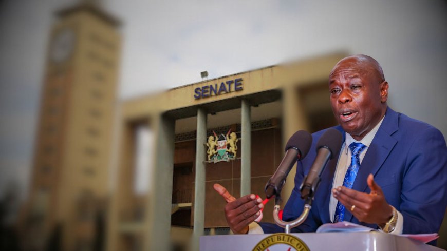 Senate Warned On How Gachagua Impeachment Could Divide Kenyans