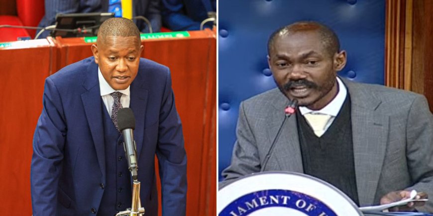 MP Mwengi Mutuse Humbled As Gachagua Lawyer Elisha Ongoya Destroys Him In Senate [VIDEOS]