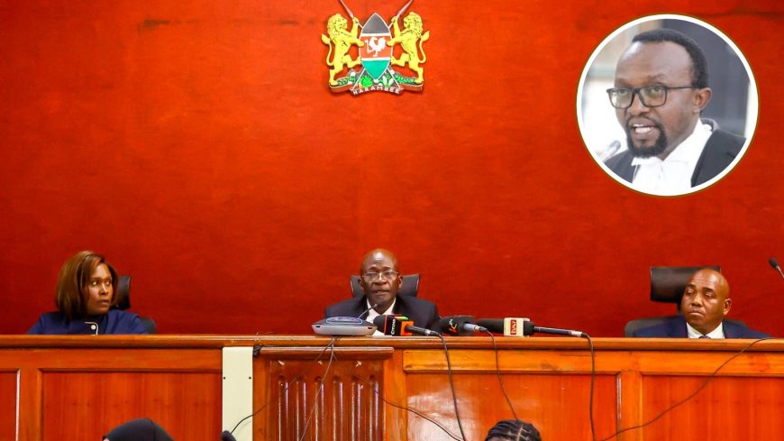 Lawyer Ndegwa Njiru Turns Gachagua's Shareholding Remarks Against High Court Judge