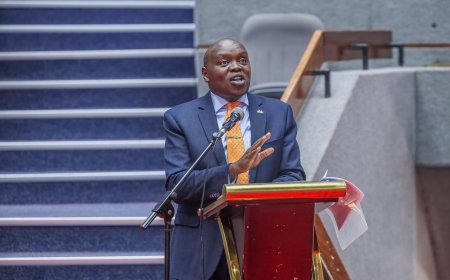 Senate Suggests Rejecting Cherargei Proposal To Extend Term Limits