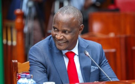 Kenyan Remote Workers, Online Companies Eyed In Revival Of Finance Bill 2024 Proposals