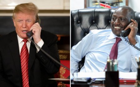 Ruto Has Phone Call With Trump After US Election Win: What They Talked About