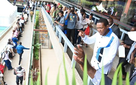 Why Govt Has Frozen Nationwide Recruitment For Jobs Abroad