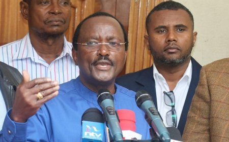 Govt Shuts Down Kalonzo Criticism On Planned Vaccination Of Cattle, Lists 5 Benefits