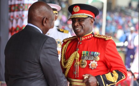 Ruto Appoints Ex-CDF Robert Kibochi, Swarup Mishra To Govt Jobs