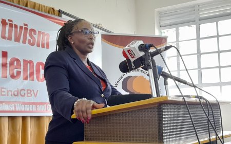 Femicide Is A Moral Issue: Elachi Downplays Ruto's Ksh100 Million Campaign