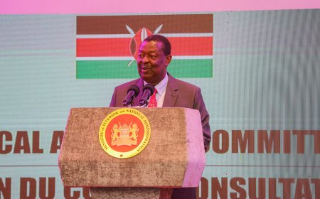 LIST: Mudavadi Gazettes 27 New Sub Counties, Including Roysambu, Embakasi