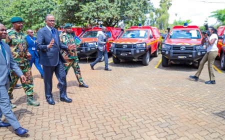 France Funds Kenya's Ksh2.8B Project To Combat Forest Fires Using Technology