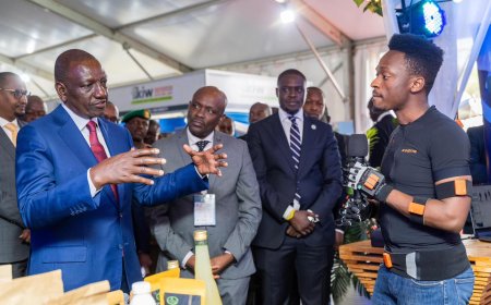 Ruto Moves Innovation Agency To His Office As He Seeks Ksh500 Million