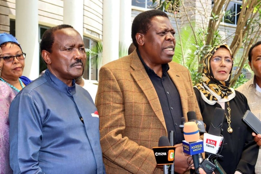 Kalonzo, Eugene Wamalwa Hint At Dumping Azimio For New Outfit