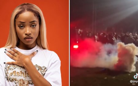 DJ Uncle Waffles Slams Organizers After Revellers Teargassed At Nairobi Concert
