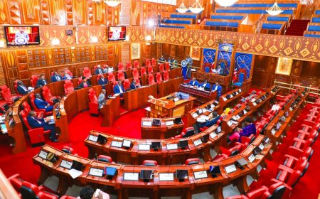 How Senate Committees Performed In 2024: Report