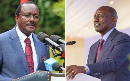 Opposing Cattle Vaccination Is Stupid: Ruto Rips Into Kalonzo