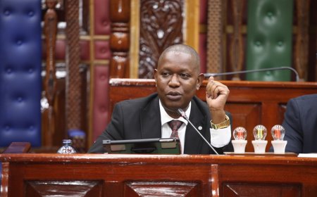 Mwengi Mutuse & MPs To Move To Court Against Cases Preventing IEBC Reconstitution