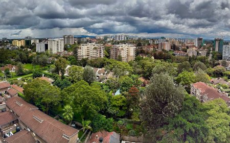 Why Bars In Lavington, Kilimani, Kileleshwa Risk Ksh150,000 Fine, Losing Licences