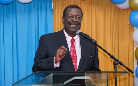 Govt Breaks Down New Work Permits For Foreigners & Amended Fees