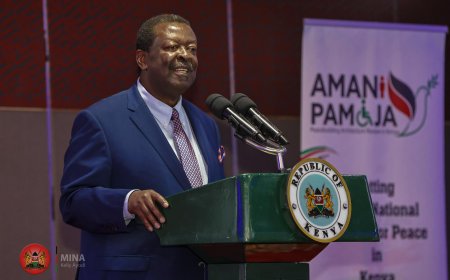 Mudavadi Directs Police, NTSA To Intensify Crackdown On All Matatus