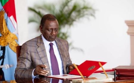 Ruto Nominates Ex-IEBC Commissioner To New PSC Board