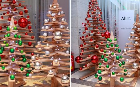 ibis Styles Nairobi Unveils Wooden Christmas Tree In Initiative To Remove Single-Use Plastic