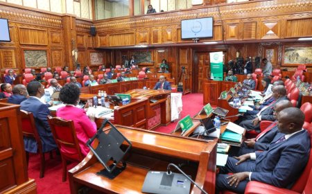 Parliament Announces Vetting Schedule For CS Nominees Mutahi Kagwe, Kabogo, Lee Kinyanjui