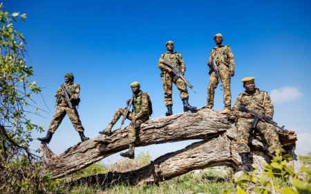 1 Killed After KWS Officers Clash With Armed Herders Inside National Park