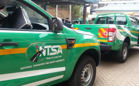 NTSA Boss Summoned As Police Ordered To Release Abducted Six In 12 Hours
