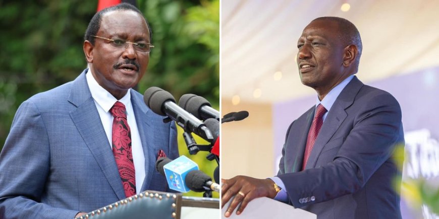 Opposing Cattle Vaccination Is Stupid: Ruto Rips Into Kalonzo