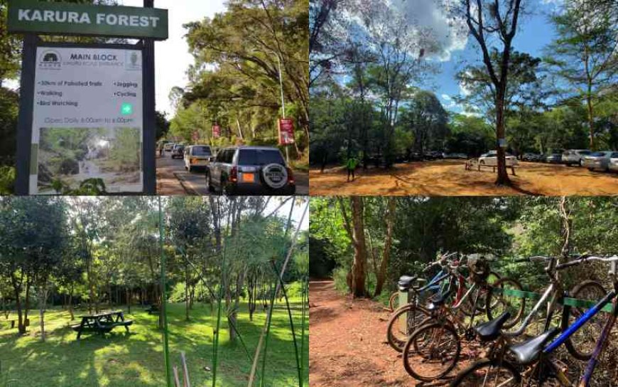 Govt Blocked From Using Part Of Karura Forest To Expand Kiambu Road