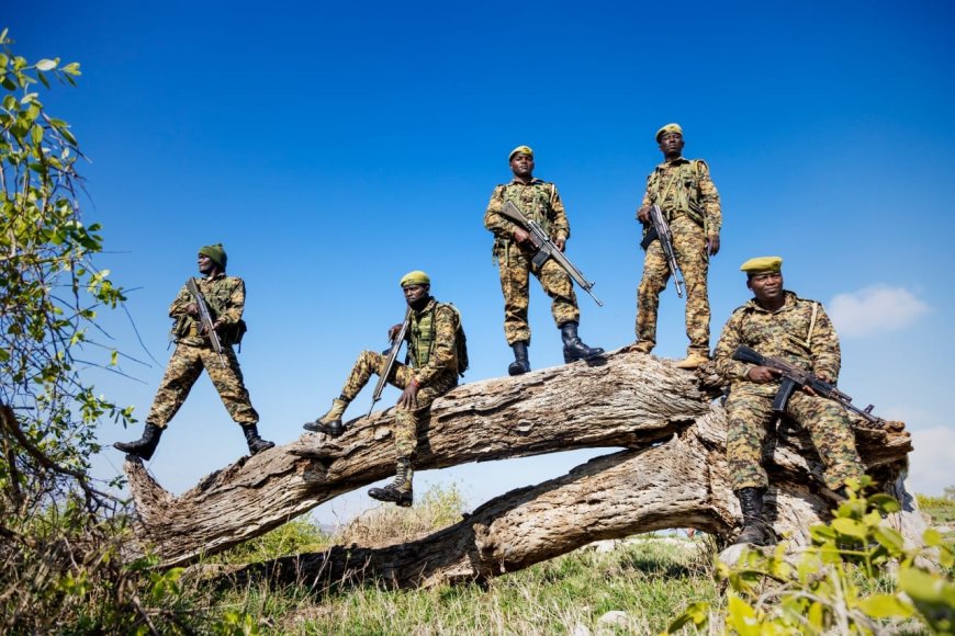 1 Killed After KWS Officers Clash With Armed Herders Inside National Park