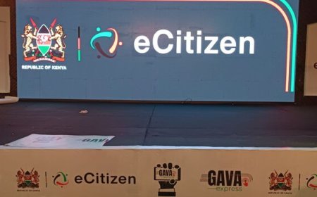 Govt Explains Why eCitizen Crashed, Leaving Hundreds Stranded