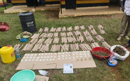 2 Arrested After NACADA, DCI Raid Drug & Alcohol Trafficking Ring