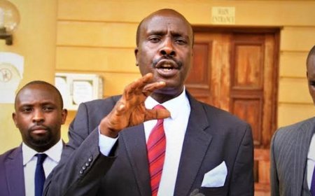 Danstan Omari Kicked Out As Murkomen, IG Kanja Fail To Appear In Court