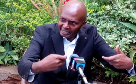 Head of Govt Delivery Services Peter Mbae Resigns, Citing Toxic Work Environment