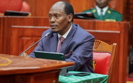 15-Year Drug Trafficking Case Returns To Torment Kabogo During Vetting