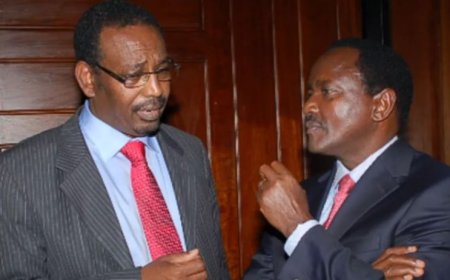 Kalonzo's Wiper Party Kicks Out MP Farah Maalim