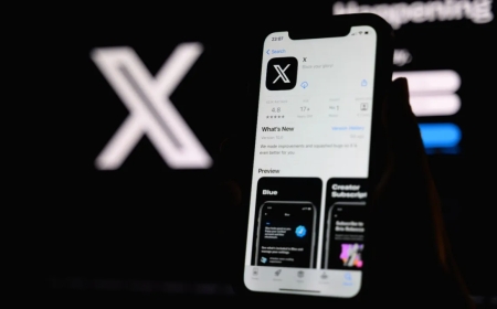 Kenyan Sues X Over Allowing Hate Speech, Porn Posts