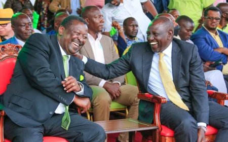 Ruto's UDA Merges With Mudavadi's ANC