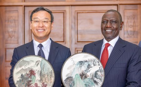 Chinese Company Which Partnered With Chelsea FC To Set Up Factory In Kenya