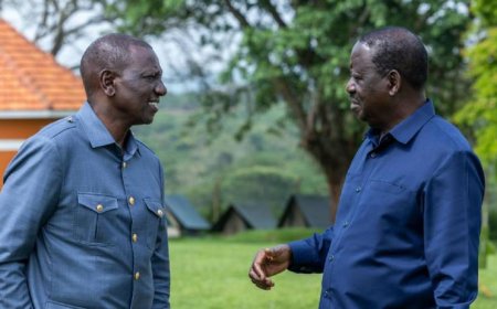 ODM Official Rejects Ruto's Appointment To Top Govt Post