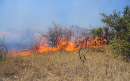 Wildfires Break Out In Kenya's Isiolo, Spreading Towards 4 Villages