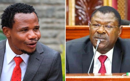 Wetangula Tells Off Peter Salasya In Front Of Ruto Over Rant On SHA