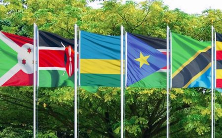 Navigating EAC Trade? Here's What Every Kenyan Business Needs to Know About Customs Bonds