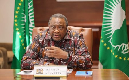 Trump Doesn't Have To Give You Anything: Uhuru Over US Cutting Funds