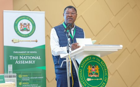 Wetangula Piles Pressure On Police, DCI, DPP Over Abductions & Deaths Of Missing Kenyans